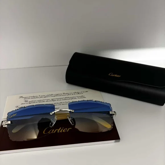 Cartier Sunglasses with Blue and Silver Accents - Picture 1 of 3